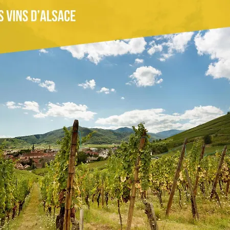 La P'tite Maison Feriehus Orschwihr